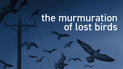 Drawing of black birds in flight against a dark blue sky near a power line and the play title, the murmuration of lost birds 